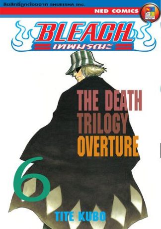 Bleach เทพมรณะ เล่ม 6