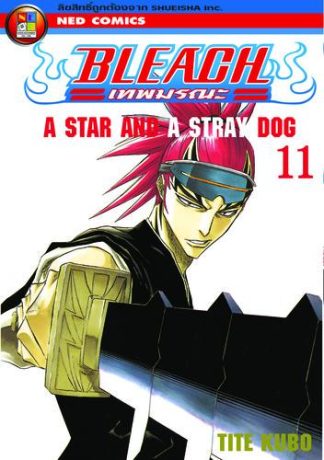 Bleach เทพมรณะ เล่ม 11