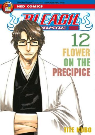 Bleach เทพมรณะ เล่ม 12