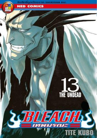 Bleach เทพมรณะ เล่ม 13
