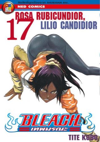 Bleach เทพมรณะ เล่ม 17