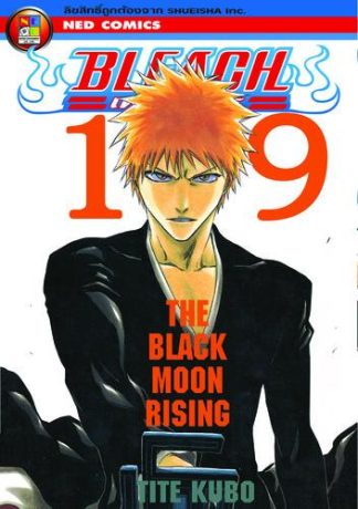 Bleach เทพมรณะ เล่ม 19