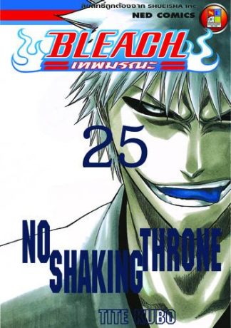 Bleach เทพมรณะ เล่ม 25