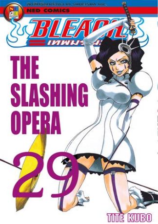 Bleach เทพมรณะ เล่ม 29