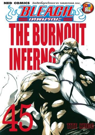 Bleach เทพมรณะ เล่ม 45