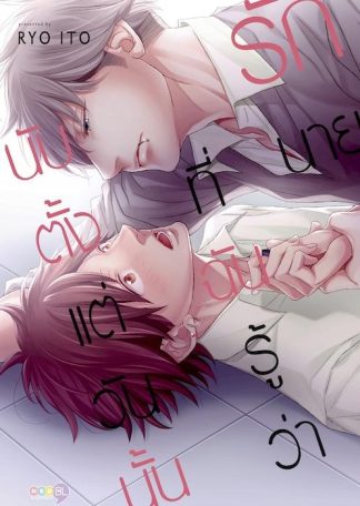 นับตั้งแต่วันนั้น ที่ฉันรู้ว่ารักนาย (เล่มเดียวจบ)