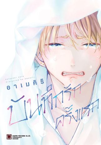 บันทึกรักครั้งแรก (เล่มเดียวจบ)